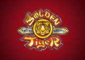 golden tiger  .png